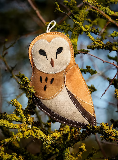 eco dog toys