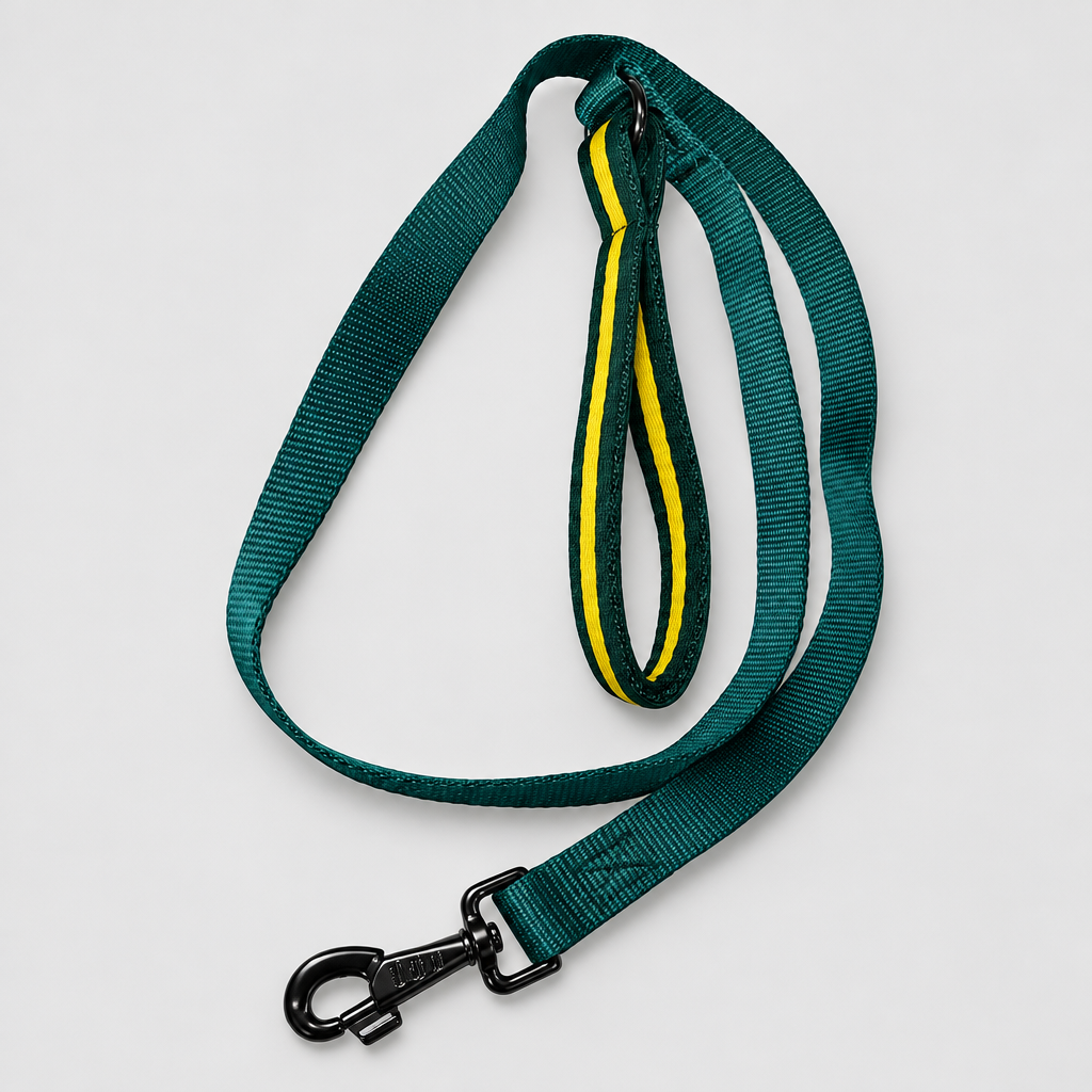 Standard Dog Lead with Soft Padded Handle