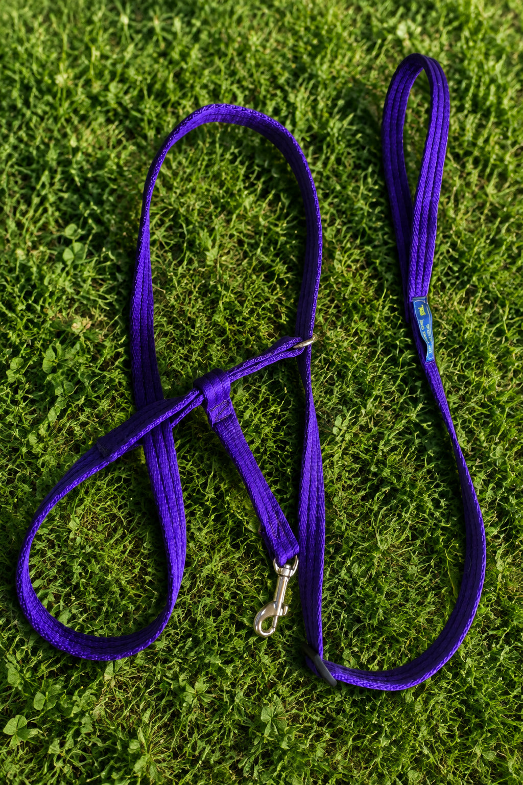 Figure-8 Dog Headcollar with All-in-One Lead