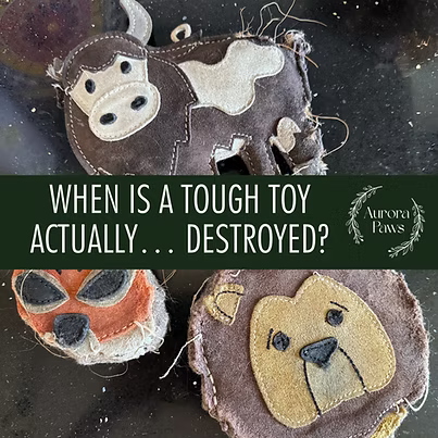 Aurora Tough Eco Toys-TOUGH. NATURAL. BUILT FOR DOGS — NOT LANDFILL