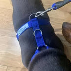 Comfort Dog Harness for Active Dogs