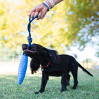 KIWI Walker ZEPPELIN MINI TPR Foam Dog Fetch Toy