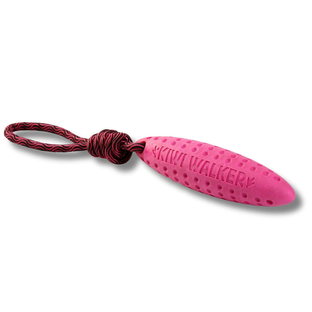 KIWI Walker ZEPPELIN MINI TPR Foam Dog Fetch Toy