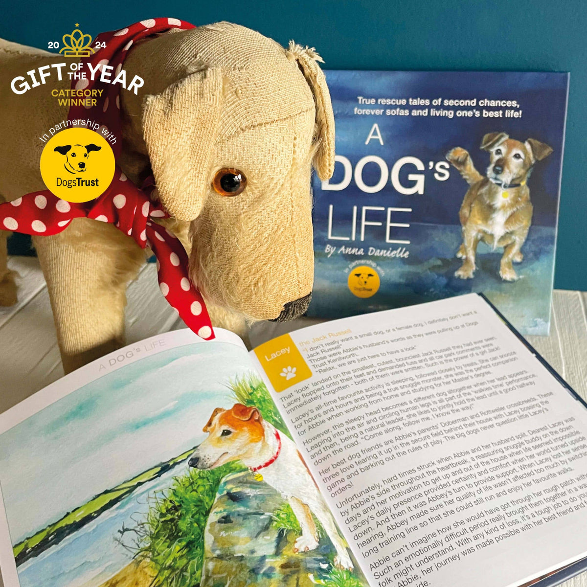 A Dog's Life Gift Book | Fundraising for DogsTrust