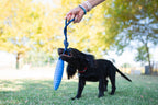 KIWI Walker ZEPPELIN MAXI TPR Foam Dog Fetch Toy