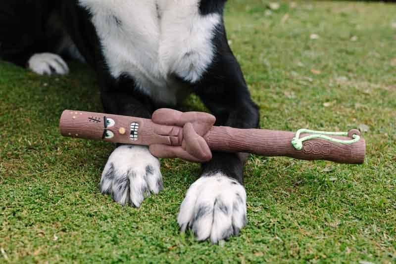 DOOG Twiggy Floating Dog Stick Toy