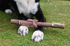 DOOG Twiggy Floating Dog Stick Toy