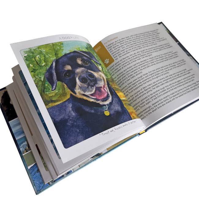 A Dog's Life Gift Book | Fundraising for DogsTrust