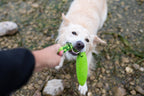 KIWI Walker ZEPPELIN MAXI TPR Foam Dog Fetch Toy