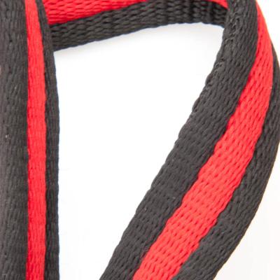 Heavy-Duty Lead for Horses and Large Dogs, 180cm x 25mm