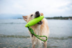KIWI Walker ZEPPELIN MAXI TPR Foam Dog Fetch Toy