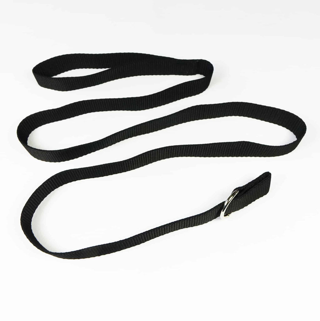 Dog Slip Lead with Stop, 180cm x 25mm