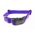Flat Webbing Dog Collar with Side-Release Buckle
