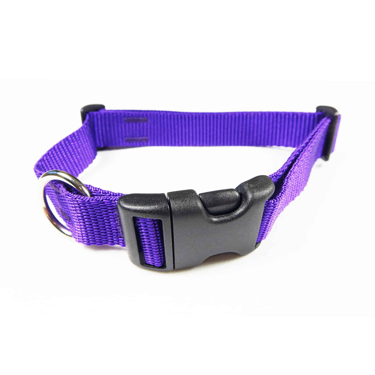Flat Webbing Dog Collar with Side-Release Buckle