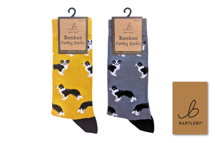 Two pairs of Bartleby Bamboo Funky Socks with a dog print, one in mustard yellow and one in slate gray, shown on hangers with a brand card on a white background.