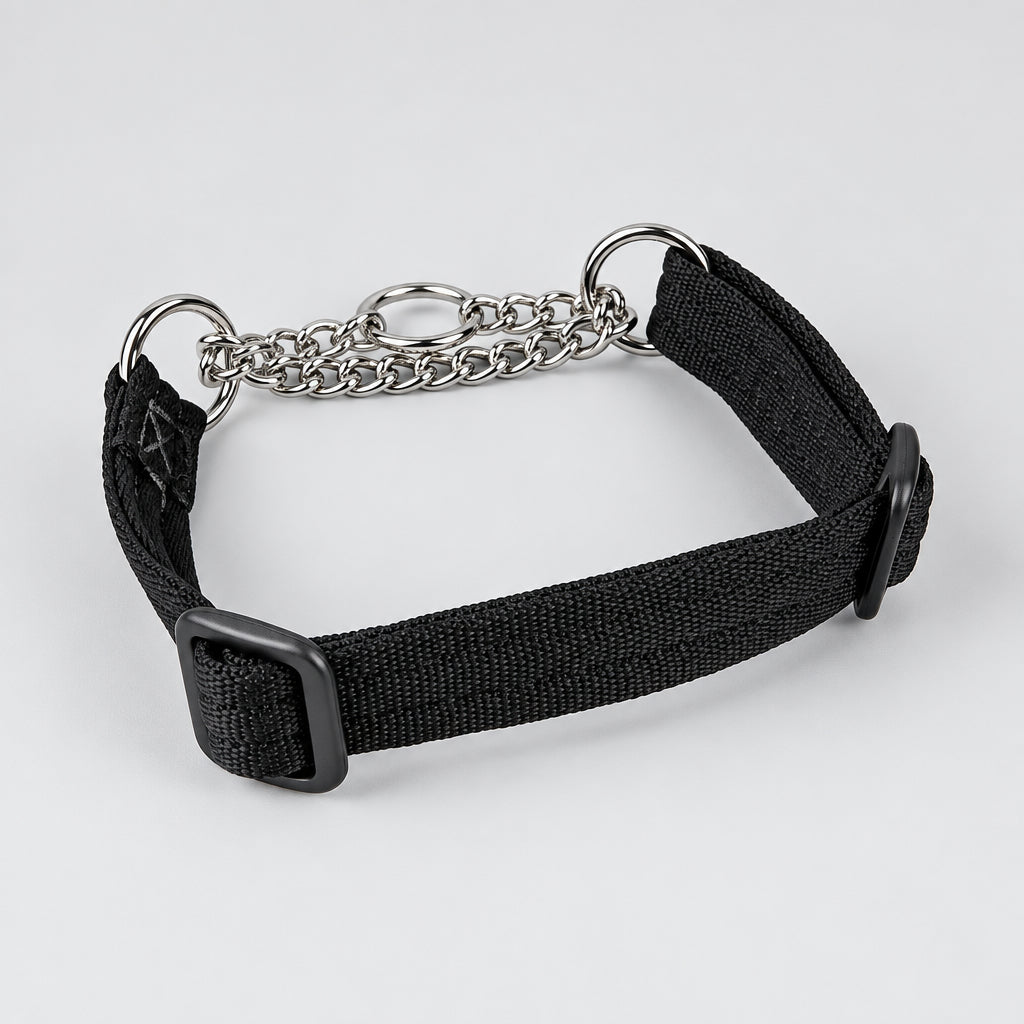 Chain Half-Check Dog Collar with Soft Webbing