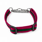 Chain Half-Check Dog Collar with Soft Webbing
