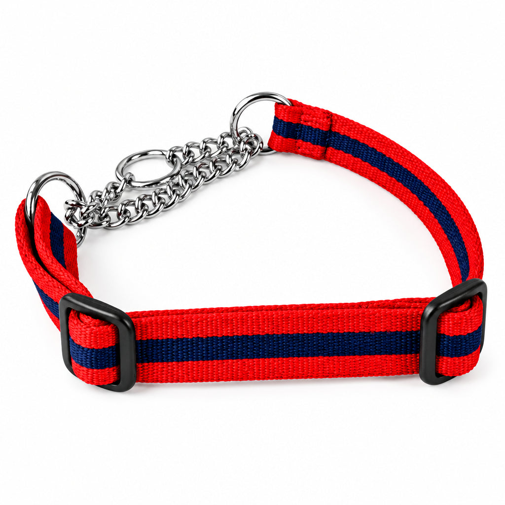 Chain Half-Check Dog Collar with Soft Webbing