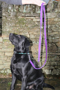 Double-Ended Adjustable Dog Training Lead