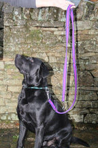 Double-Ended Adjustable Dog Training Lead