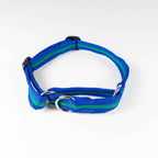 Martingale Dog Collar for Sighthounds