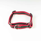 Martingale Dog Collar for Sighthounds