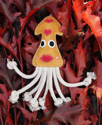 Aurora Tough Eco Toys-TOUGH. NATURAL. BUILT FOR DOGS — NOT LANDFILL