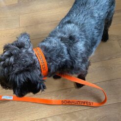 Schnauzerfest Lead