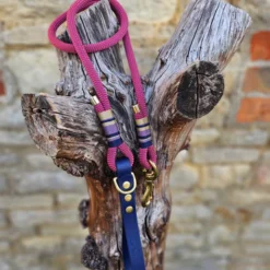 Alternative view of Premium Rope & BioThane® Standard Leads