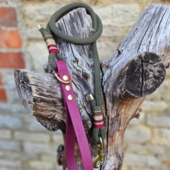 Premium Rope & BioThane® Standard Leads